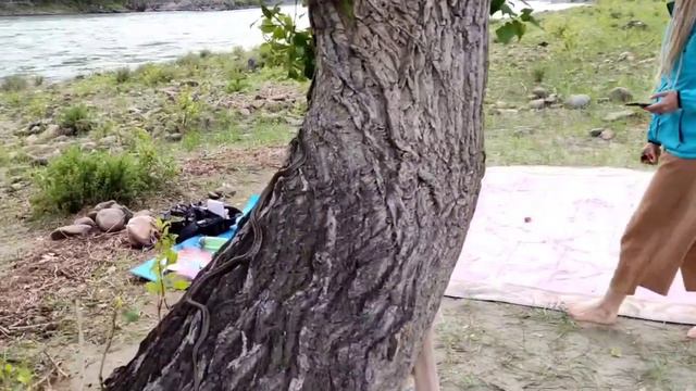 Лила - игра самопознания. Что это, для чего и зачем? смотреть онлайн