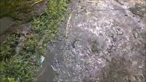 Очищаем место лова от травы