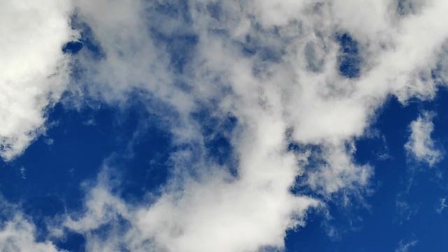 Правила выживания в мужском мире? смотреть онлайн