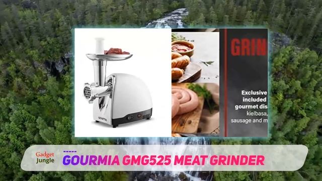 Gourmia GMG525 meat grinder Review - The Best Meat Grinders in 2022 смотреть онлайн