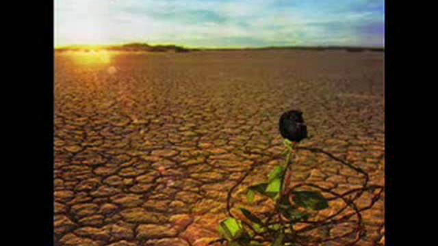 JD Souther - Midnight Prowl.wmv смотреть онлайн