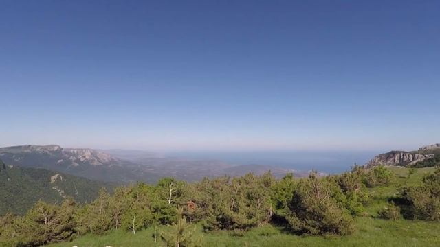 Заяц в крымских горах смотреть онлайн
