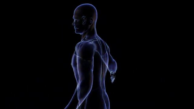 How Does Human Skin Works? | Skin Structure And Function (Urdu/Hindi) смотреть онлайн