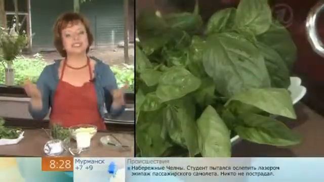 Картофельный суп с базиликом смотреть онлайн