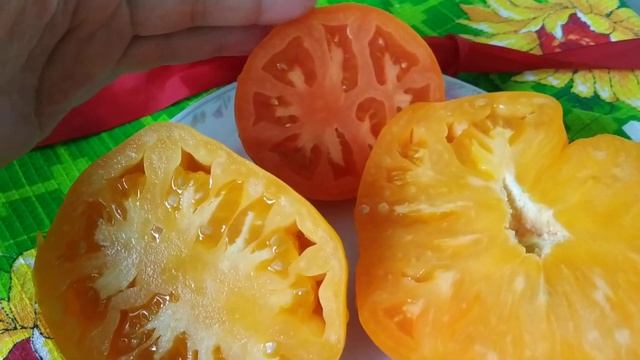 Самые вкусные сорта томатов Сердце Ашхабада,Бычье сердце оранжевое. смотреть онлайн