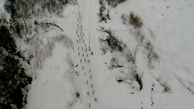 AIR Zlatoust - Марафон"Крылатый конь" 22 марта 2015 смотреть онлайн