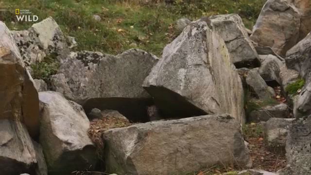 Дикая Скандинавия Небесное королевство смотреть онлайн