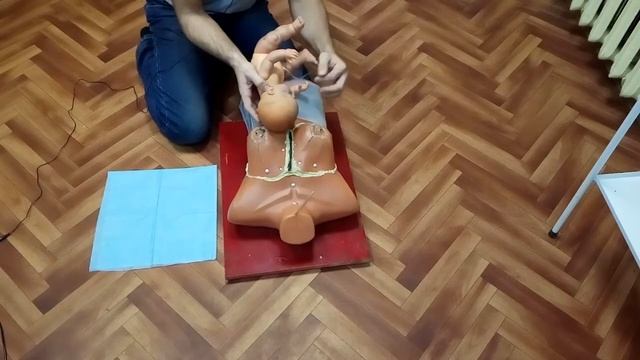 Положение плода в полости матки по Леопольду Велицкому в норме смотреть онлайн