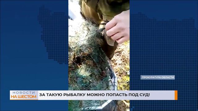 За такую рыбалку можно попасть под суд! смотреть онлайн