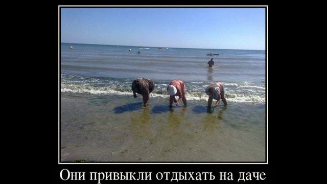 Они привыкли отдыхать на даче смотреть онлайн