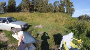 Рыбалка на Наре,Серпухов