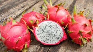 Как выращивать драконий фрукт в домашних условиях