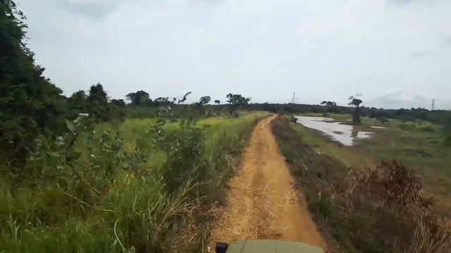 Джиппинг на Шри-Ланке. Приключения с LIFE4travel смотреть онлайн