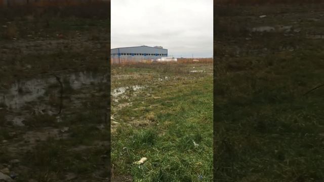 Предложение по благоустройству ЖК Светлановский смотреть онлайн