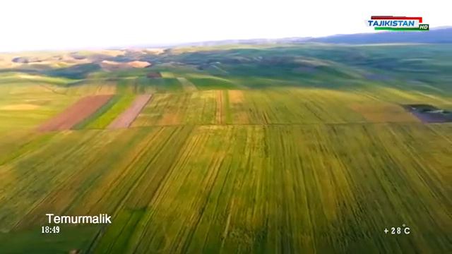 ТЕМУРМАЛИК смотреть онлайн