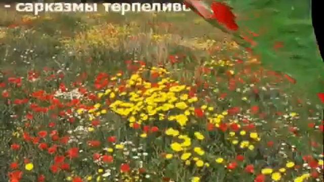 Любите женщину за грех который вынесла из рая.... смотреть онлайн
