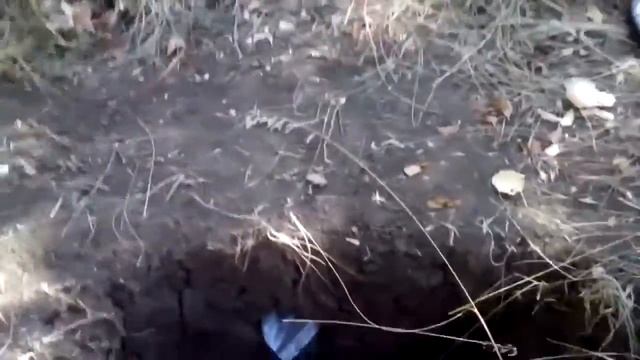 ТРИО-PROSPECTOR смотреть онлайн