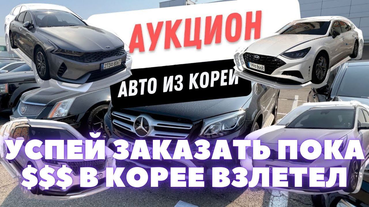 Сильный доллар (1,314/KRW) - низкие цены. Цены на аукционе Гловис. Авто из Кореи смотреть онлайн