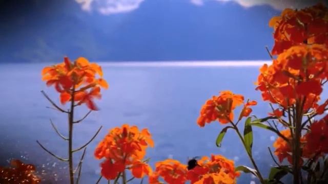 Разъяснительная беседа "Твоё место в жизни" смотреть онлайн