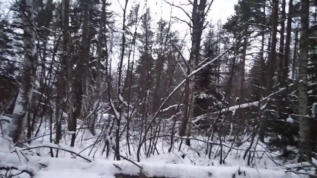 Лесной родник смотреть онлайн