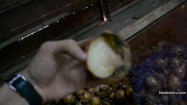 WikiLyk Без комментариев 4 смотреть онлайн