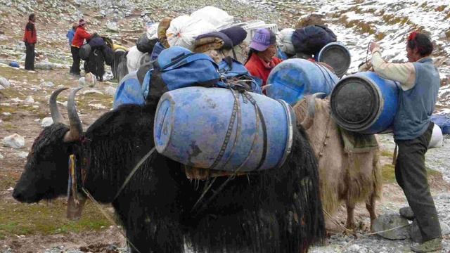 2021 год—Год Металлического быка (часть 1).Общие тенденции года. смотреть онлайн