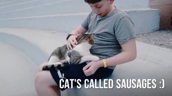 Trip to Fodele Beach Crete