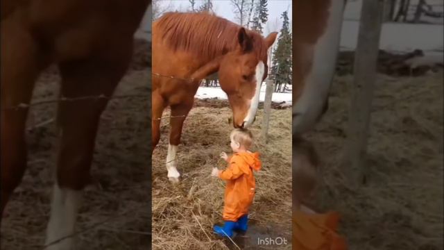 Самая Искренняя и Чистая ЛЮБОВЬ; Дети и Лошади; Голоса и звуки животных; Животные вокруг нас; смотреть онлайн