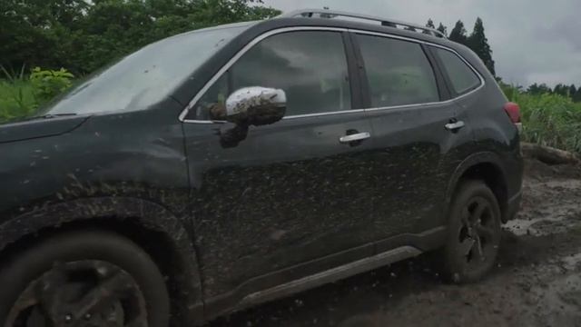 Subaru Forester 2023 Offroad #subarusaigon #subaruforester2023 #offroad  #subaruquan7