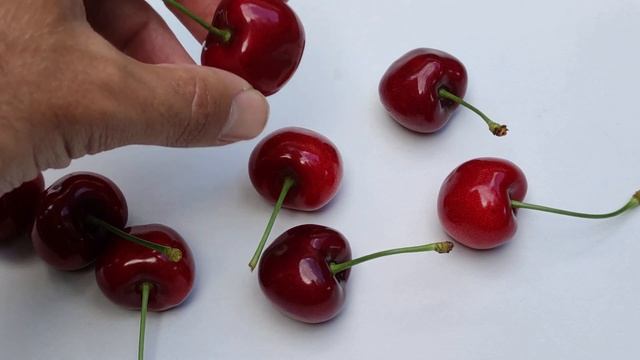 Cherry Carmen fruit size overview KGB system смотреть онлайн