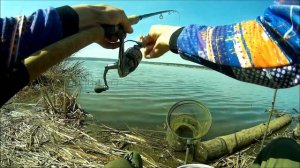 Майский фидер   Рыбалка за 48 ым комплексом