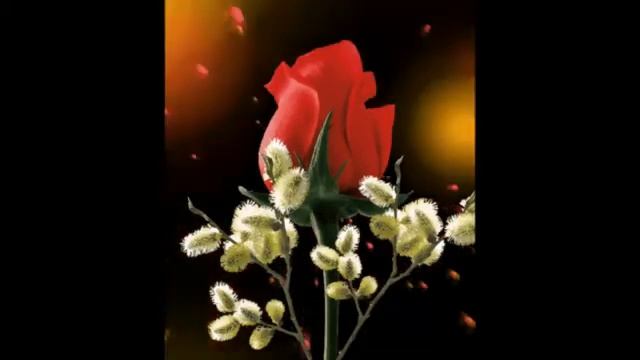 С Днём рождения Фаина! смотреть онлайн