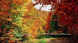 Зульмира Мустафаева - Здравствуй любовь 2023