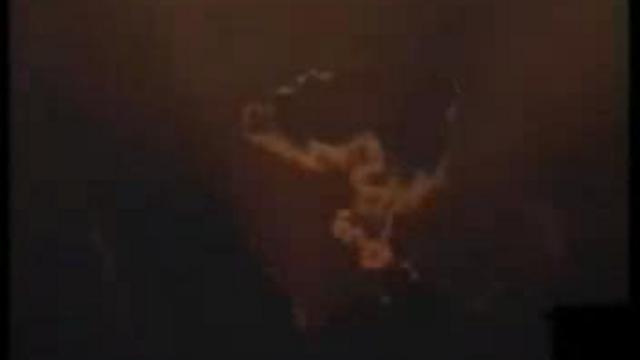 Даршан Божеств Пури, Маяпура, Вриндавана