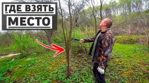 Благоустройство участка, вырубка плодового сада