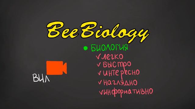 BeeBiology - Подготовка к ЗНО / Изучение Биологии / Медицина / Медицинский ВУЗ / смотреть онлайн