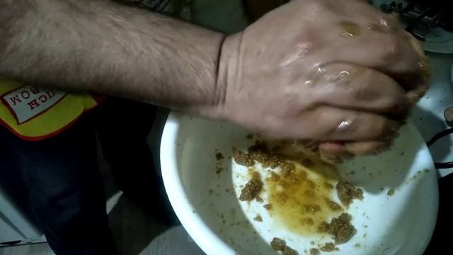 Вегетарианские Рестораны