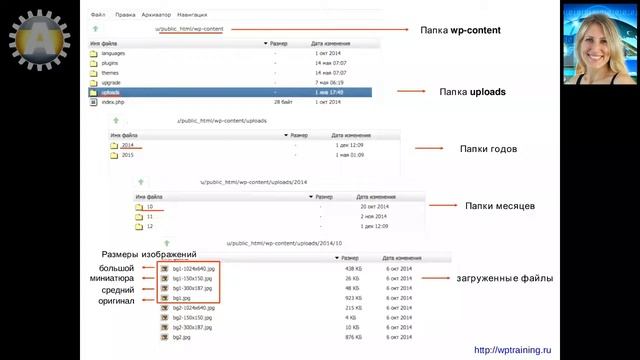 Урок 19-7. Медиафайлы. Где хранятся медиафайлы блога на WordPress на хостинге. смотреть онлайн