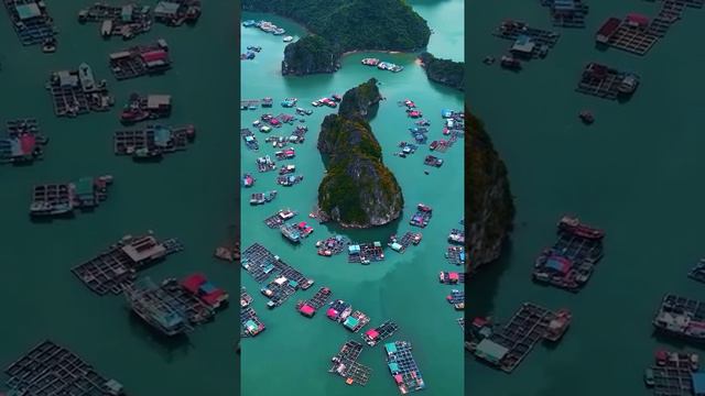 Рыбацкая деревня на острове Катба, Вьетнам смотреть онлайн