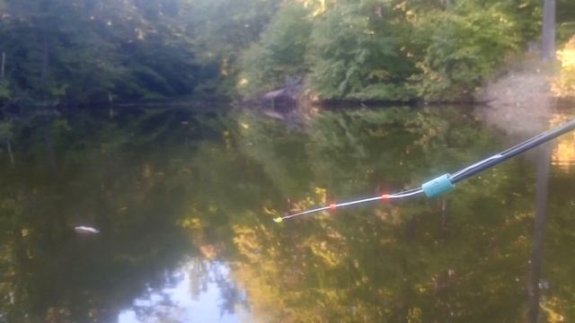 4.09.20г. Зимняя удочка летом с лодки. Карась прекрасным сентябрьским деньком(36шт.) Медный Крючок. смотреть онлайн