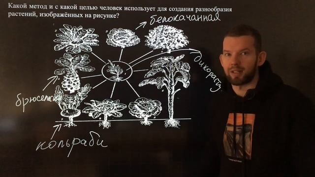НОВОЕ в ЕГЭ | ИСКУССТВЕННЫЙ ОТБОР | 22 | БИОЛОГИЯ смотреть онлайн