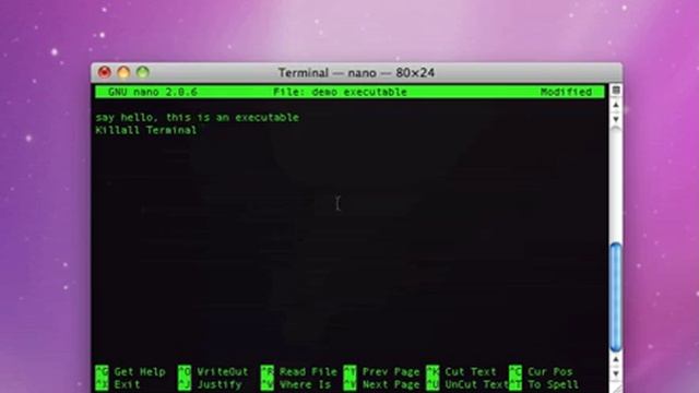 How to Create an Executable File in Terminal on Mac смотреть онлайн