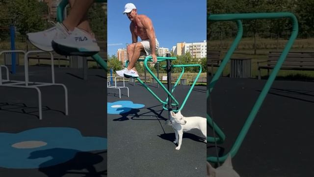 Отжимания на брусьях - завернутые в лаваше от Александра Эрзе. смотреть онлайн