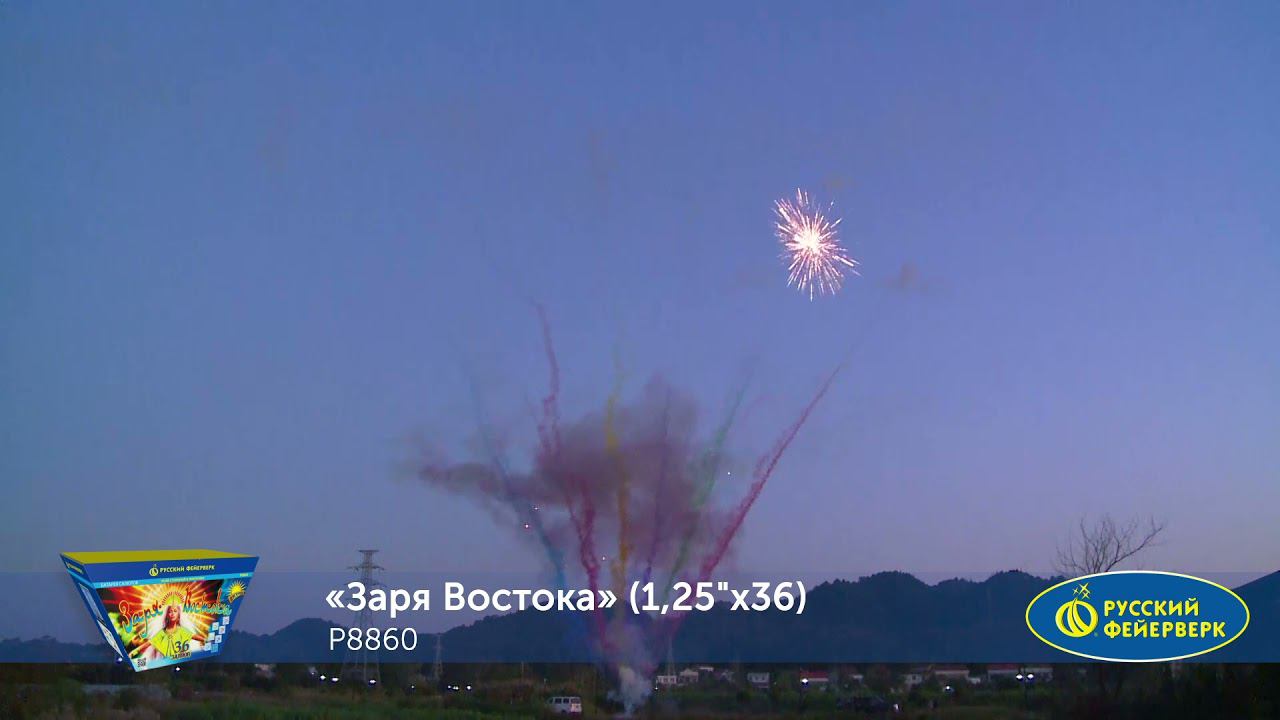 P8860 смотреть онлайн