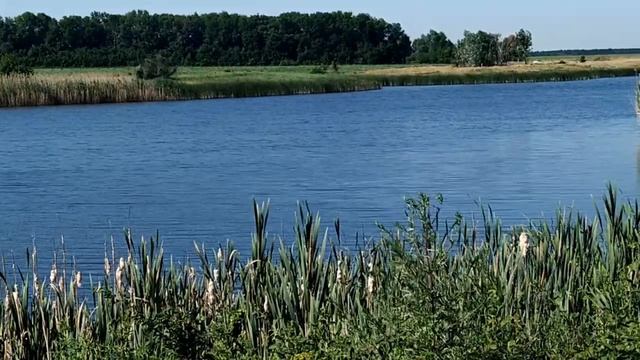 5 сентября-Луп-брусничник.Что надо делать.Народные приметы смотреть онлайн