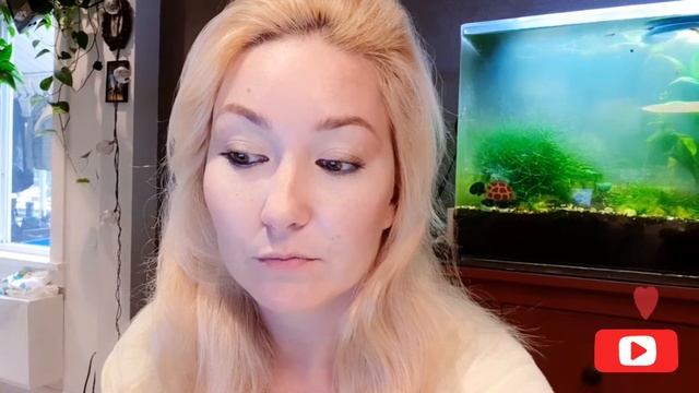 Кролик vs Морская Свинка. Кого выбрать? смотреть онлайн