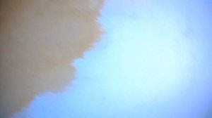 ДЕКОРАТИВНАЯ  ОТДЕЛКА   ИЗ  КВАРЦЕВОЙ  ГРУНТОВКИ.