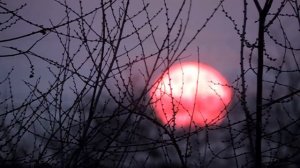 Весенний рассвет