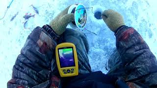 НА РЫБАЛКУ с САНЫЧЕМ.mp4 смотреть онлайн