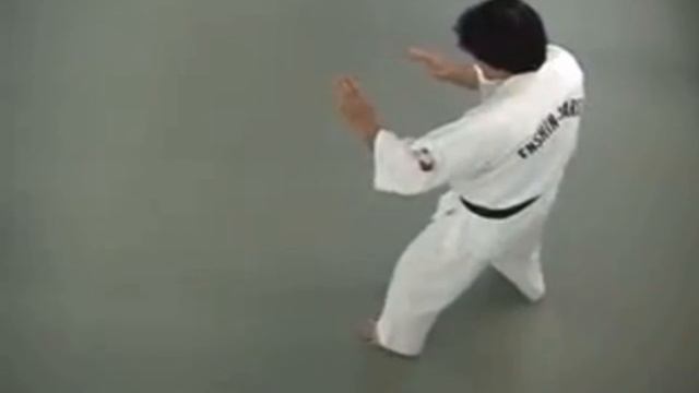 Эншин Каратэ - Ао Оби но ката 2 смотреть онлайн